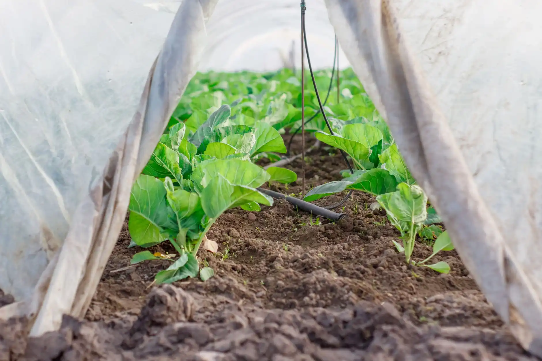 2024年户外广告工程安全施工新规要点与企业合规指南